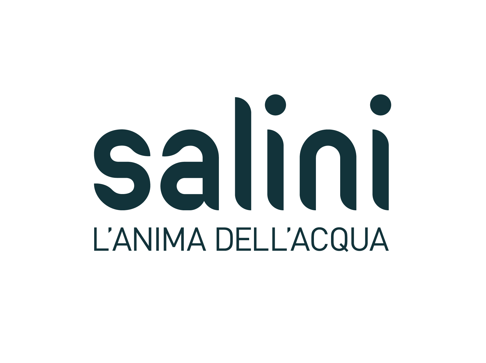 Salini SRL