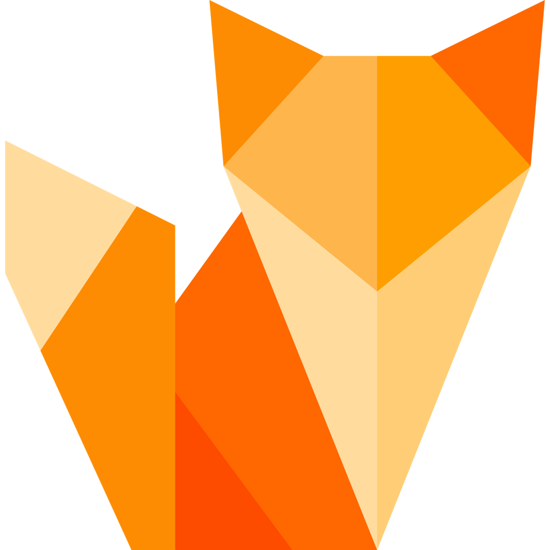 FOXY WAY