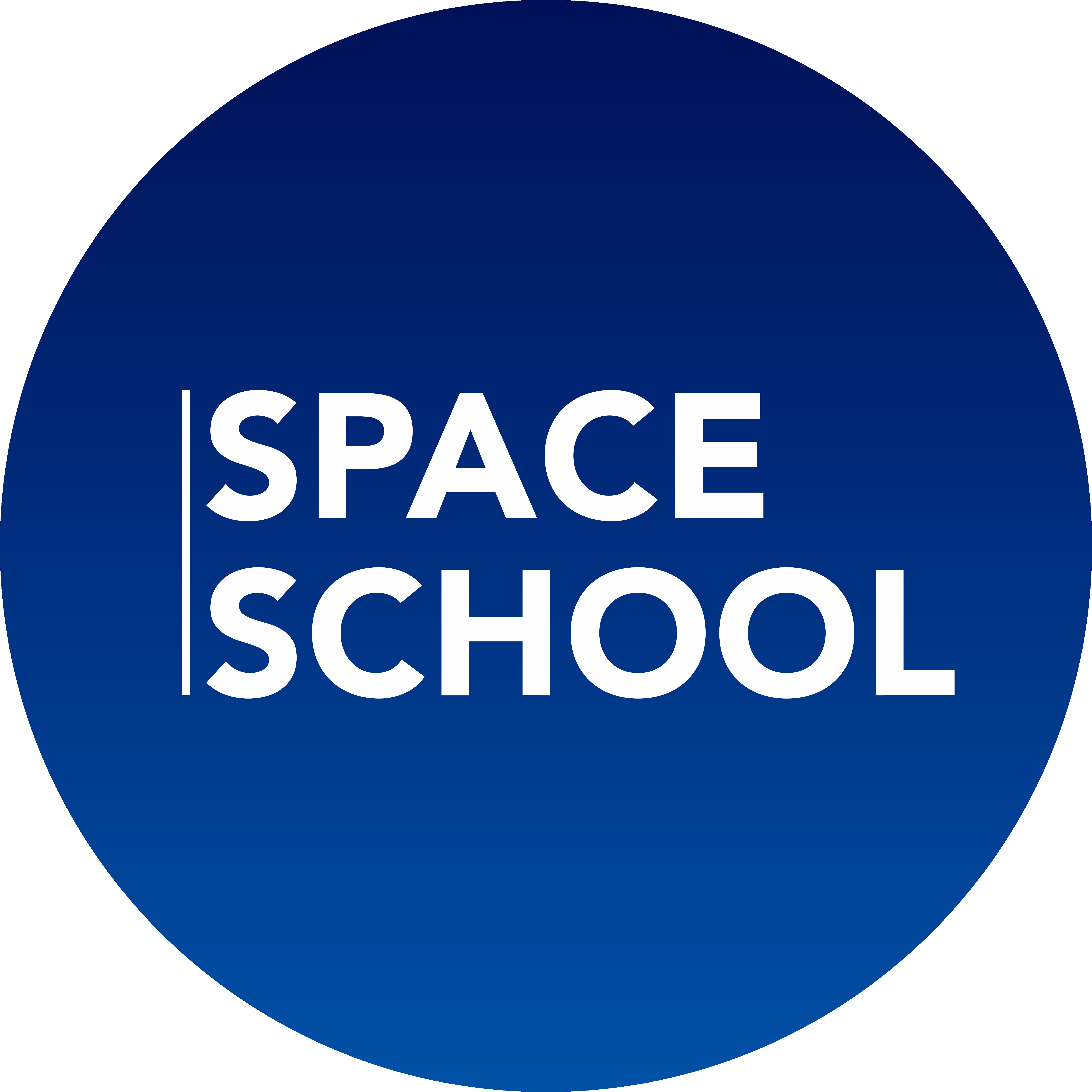 Space School (ИП Николаев Ф.А.)