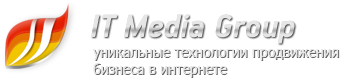 IT Media Group, Компания