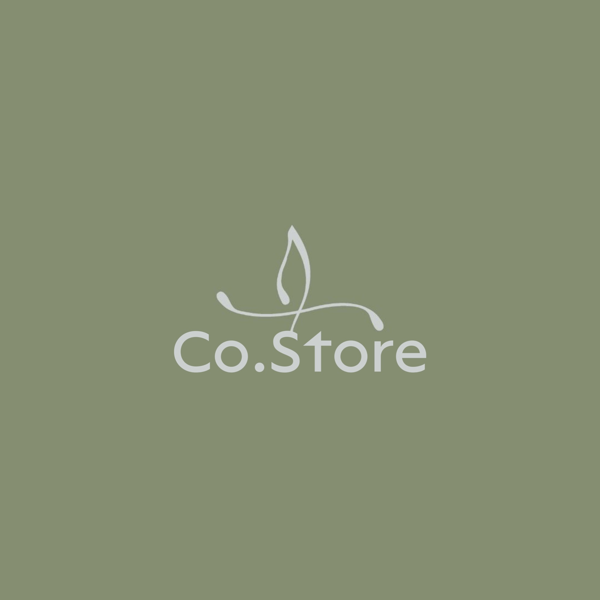 Co.store