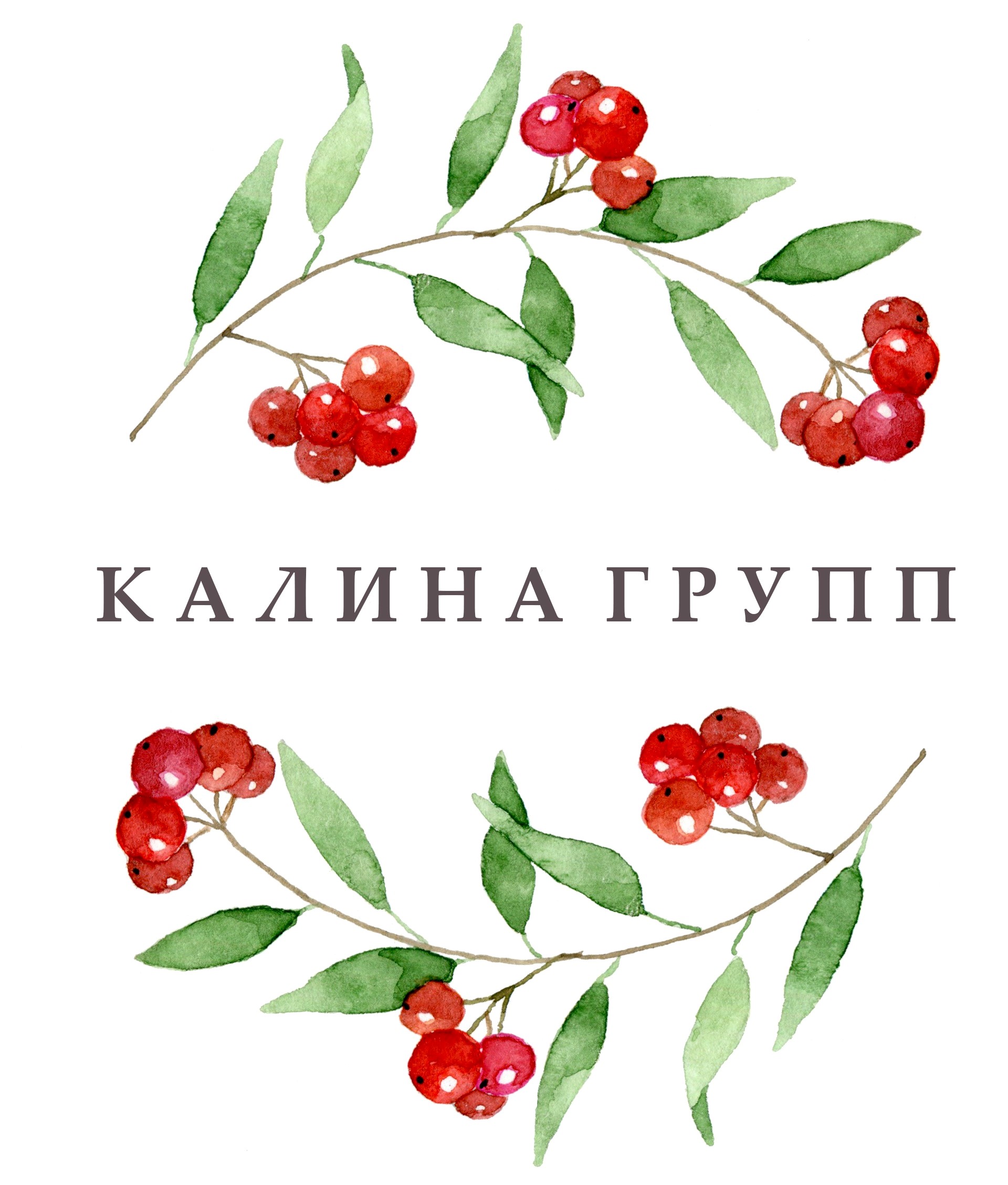 Калина групп