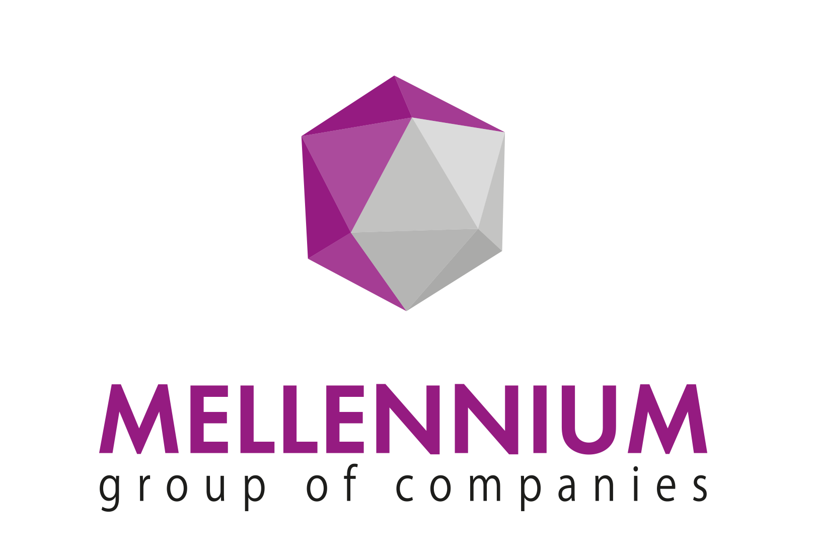 Mellennium group of companies