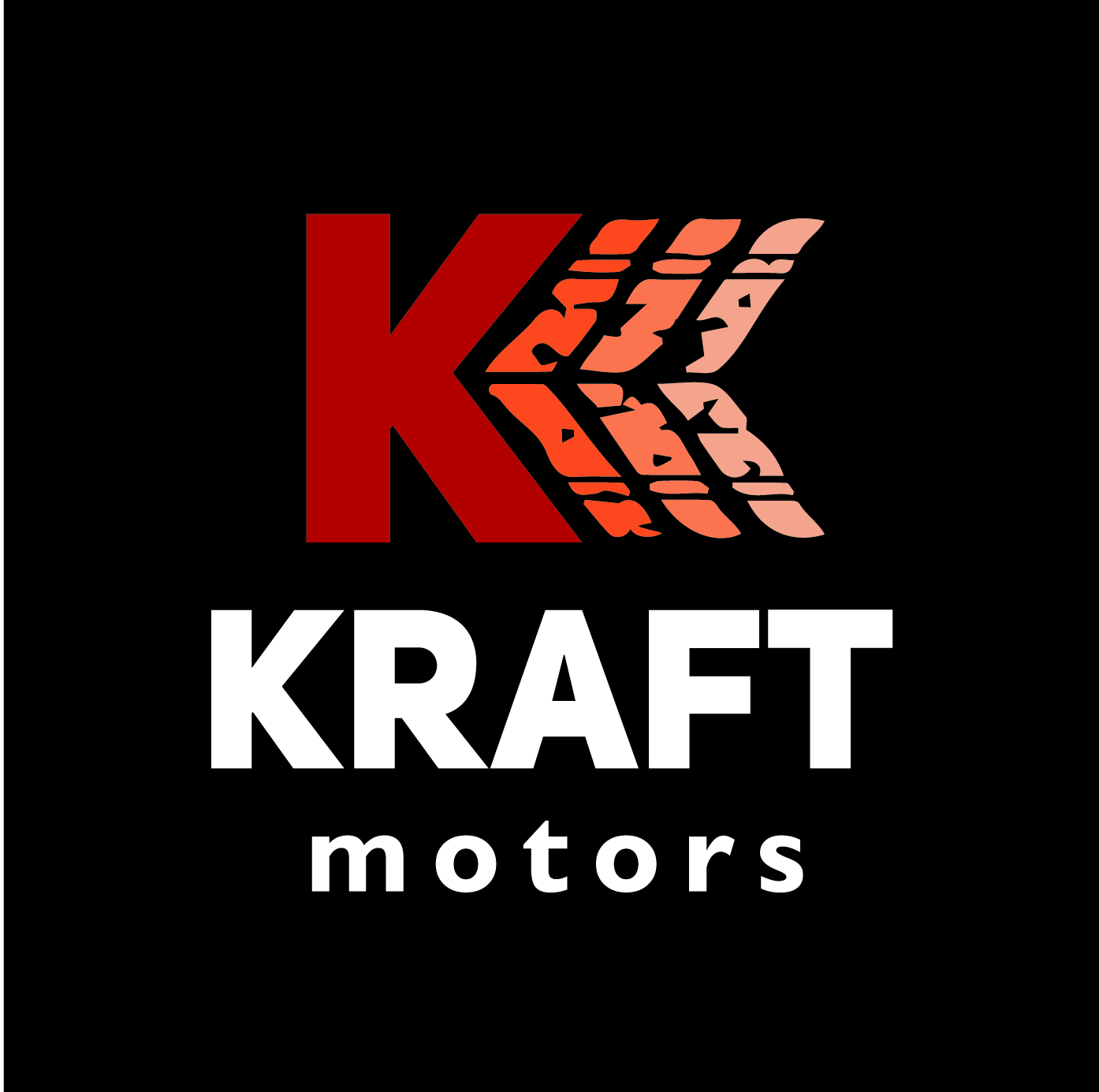 Kraft motors