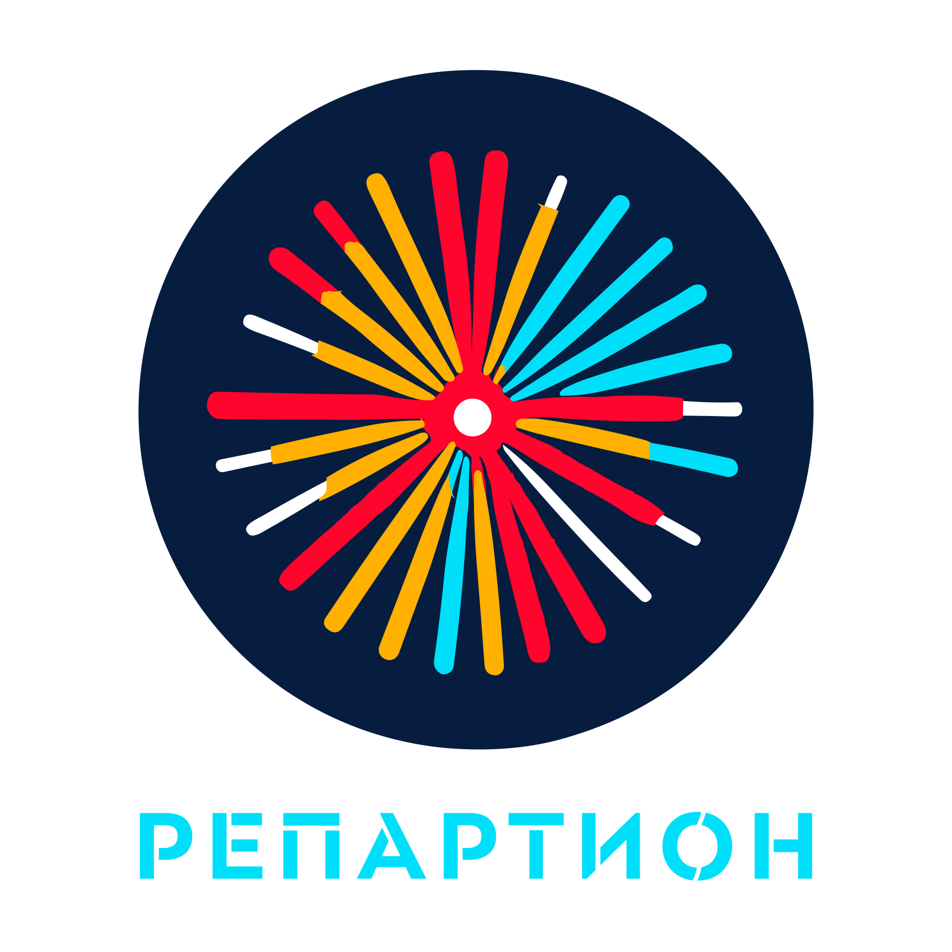 Репартион