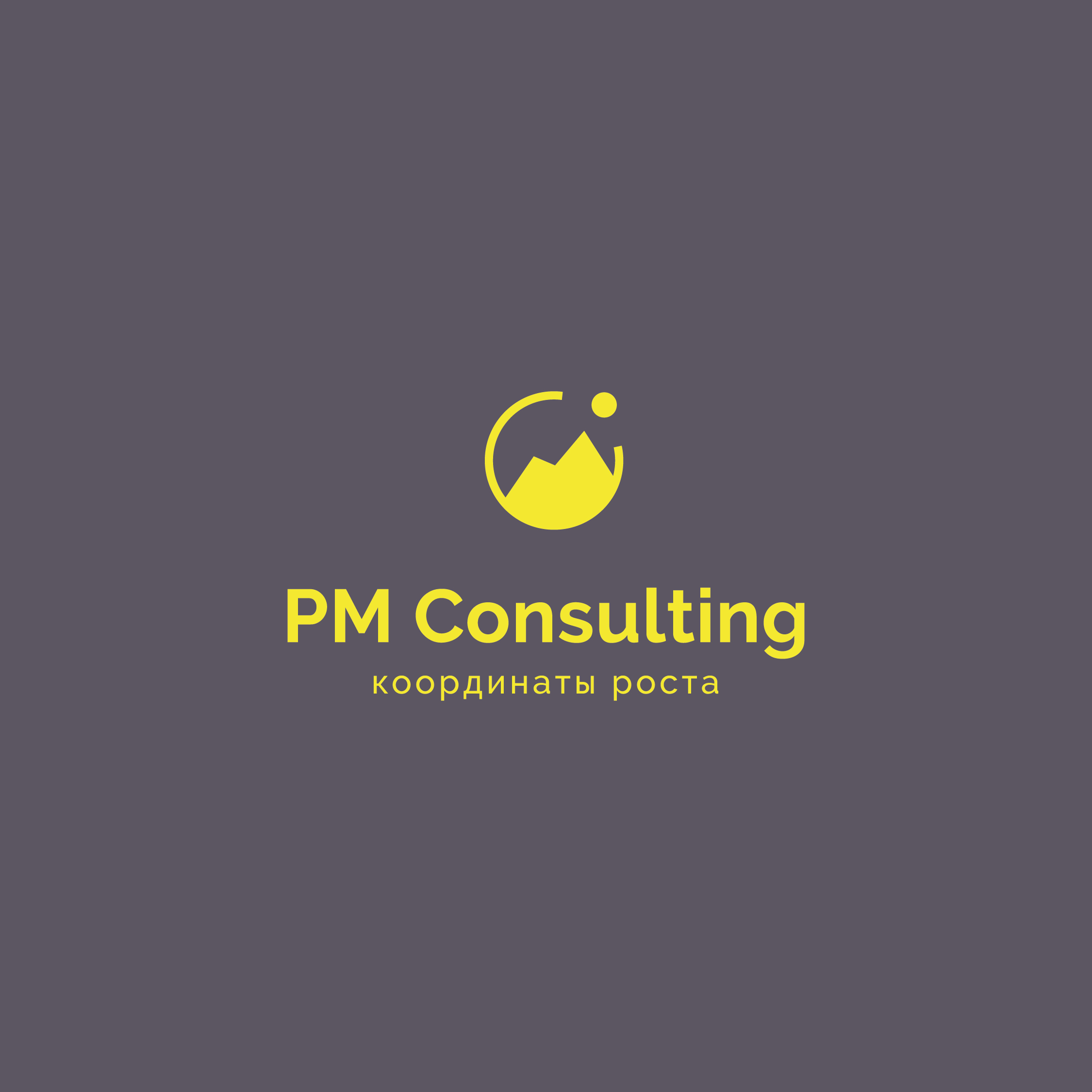 PM Consulting