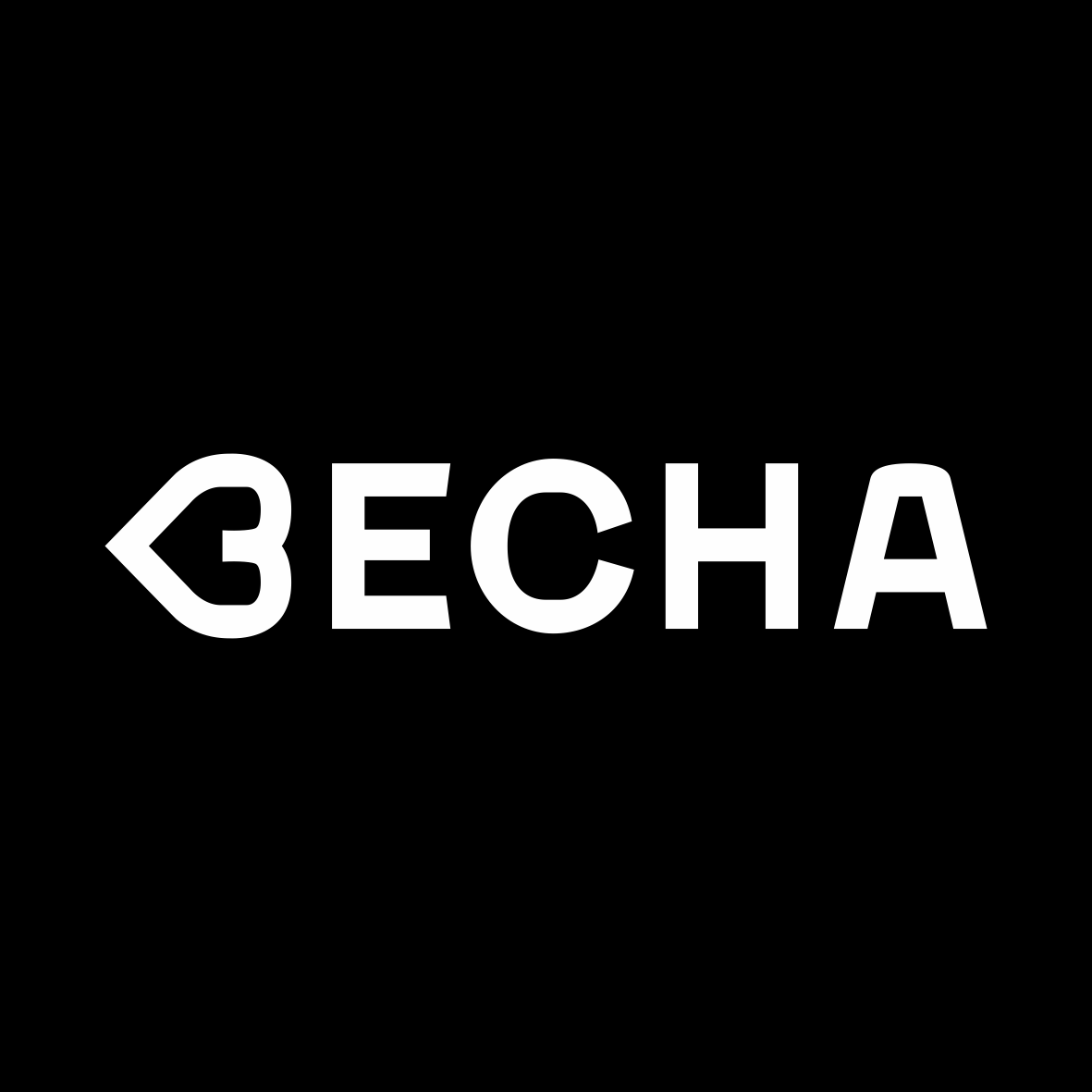 Девелопер Весна