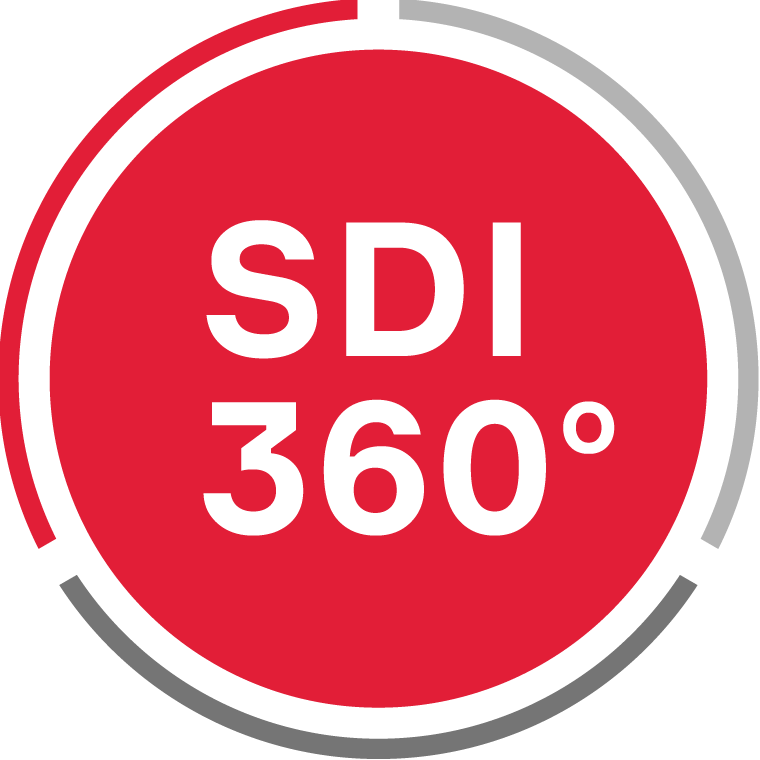 Агентство цифрового аудита SDI360