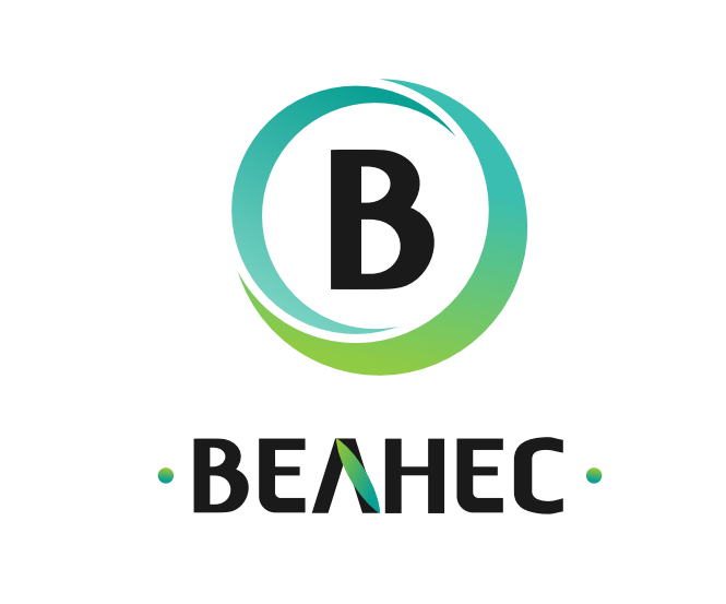 Велнес