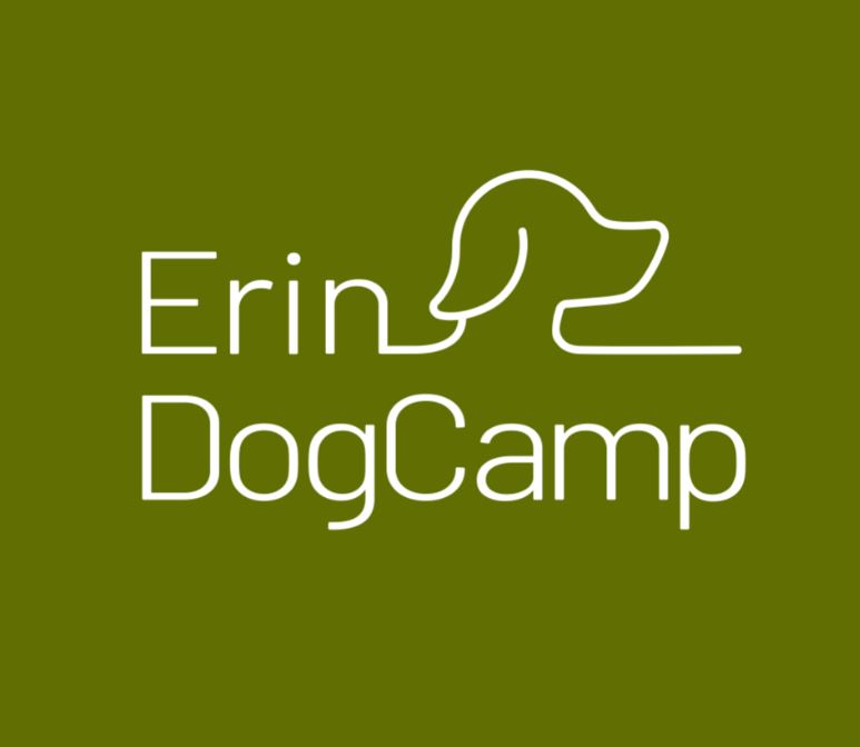 ErinDogCamp