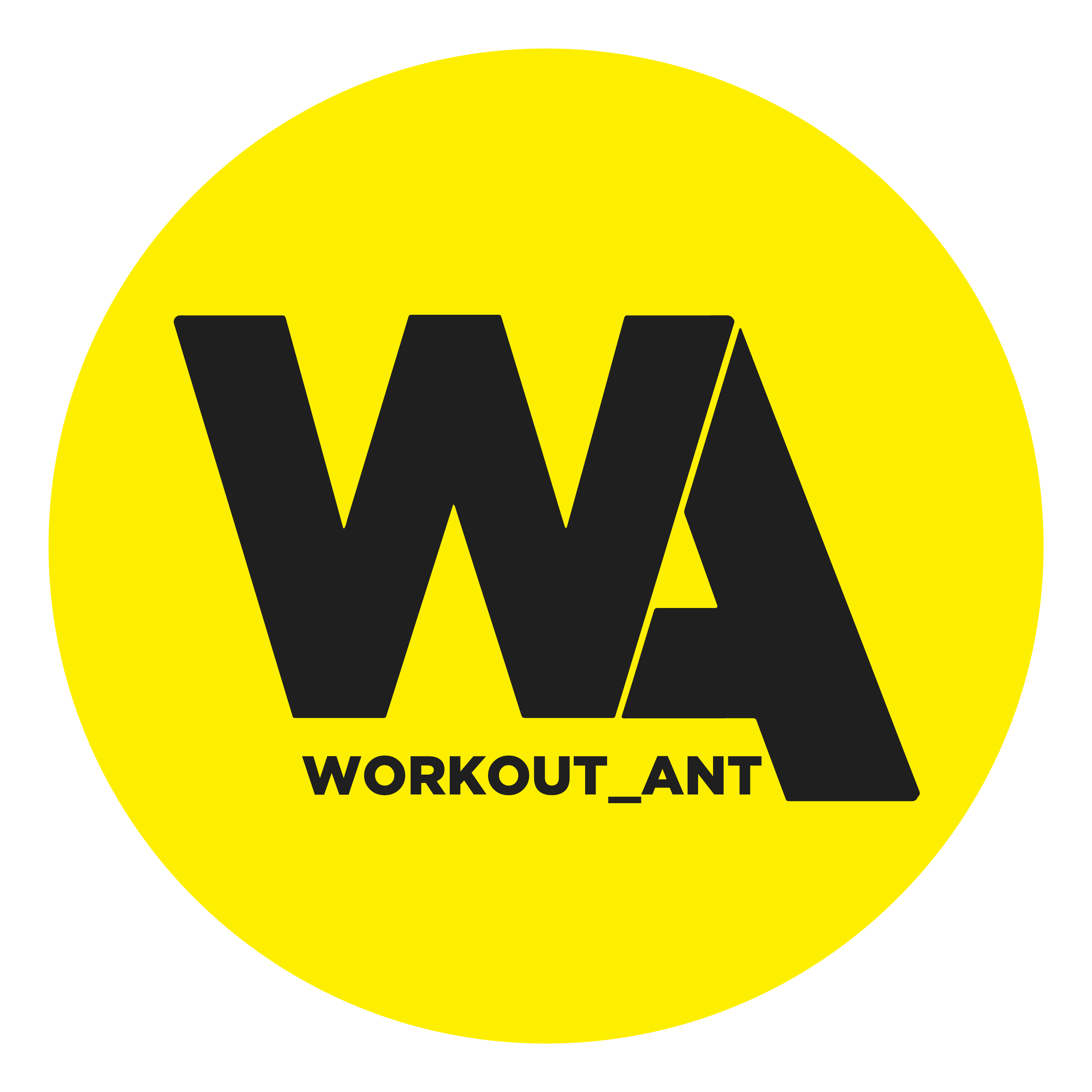 Workout ANT (ИП Потемкин Илья Александрович)