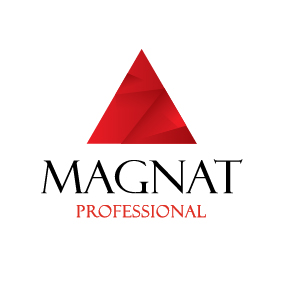 Коммуникационное агентство Magnat Professional