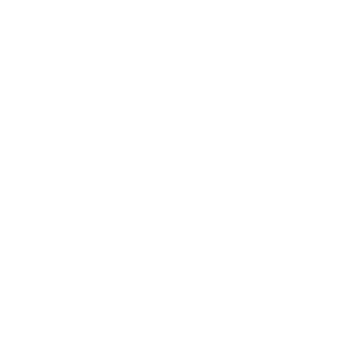 БОРИСФЕН