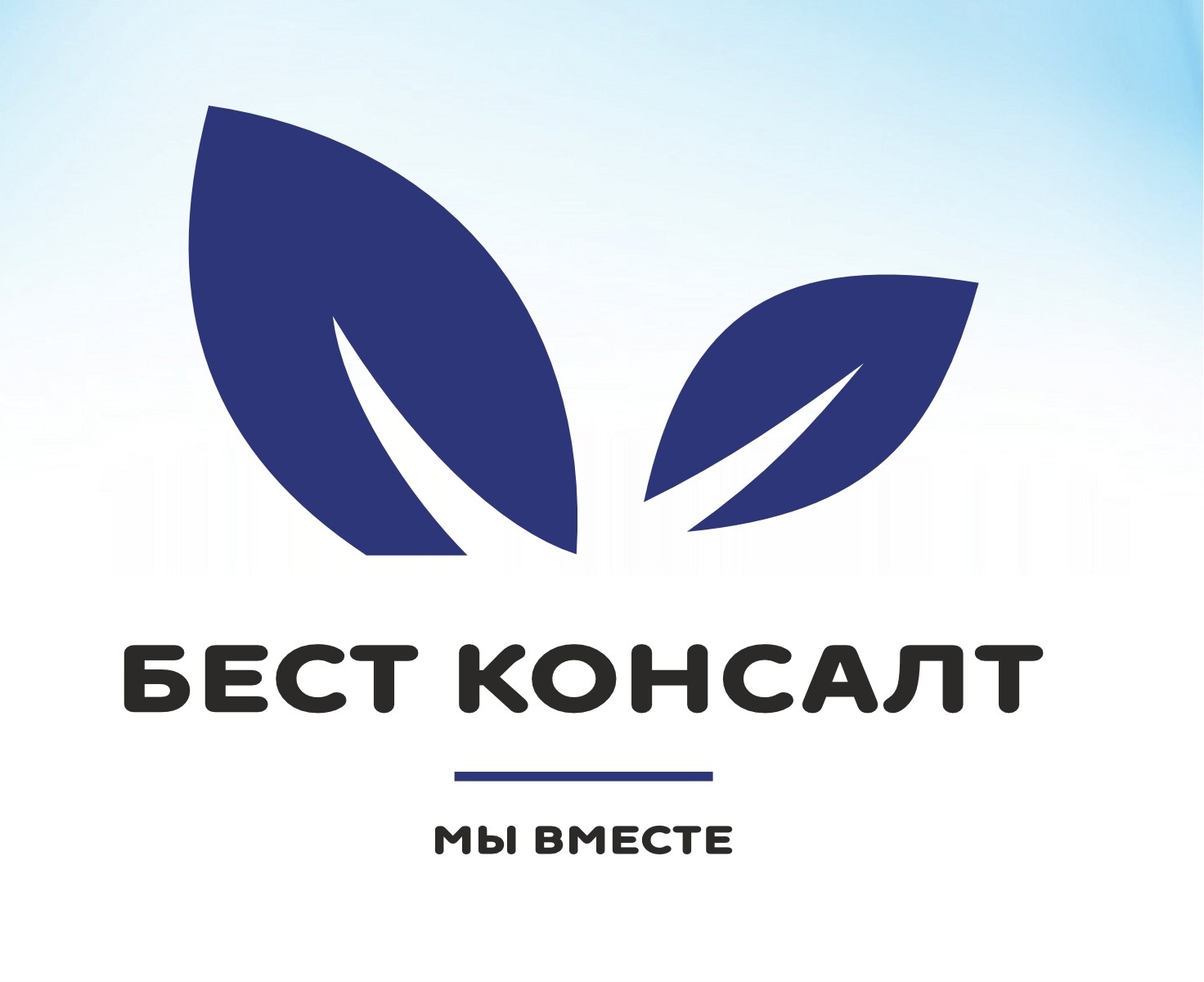 Бест Консалт