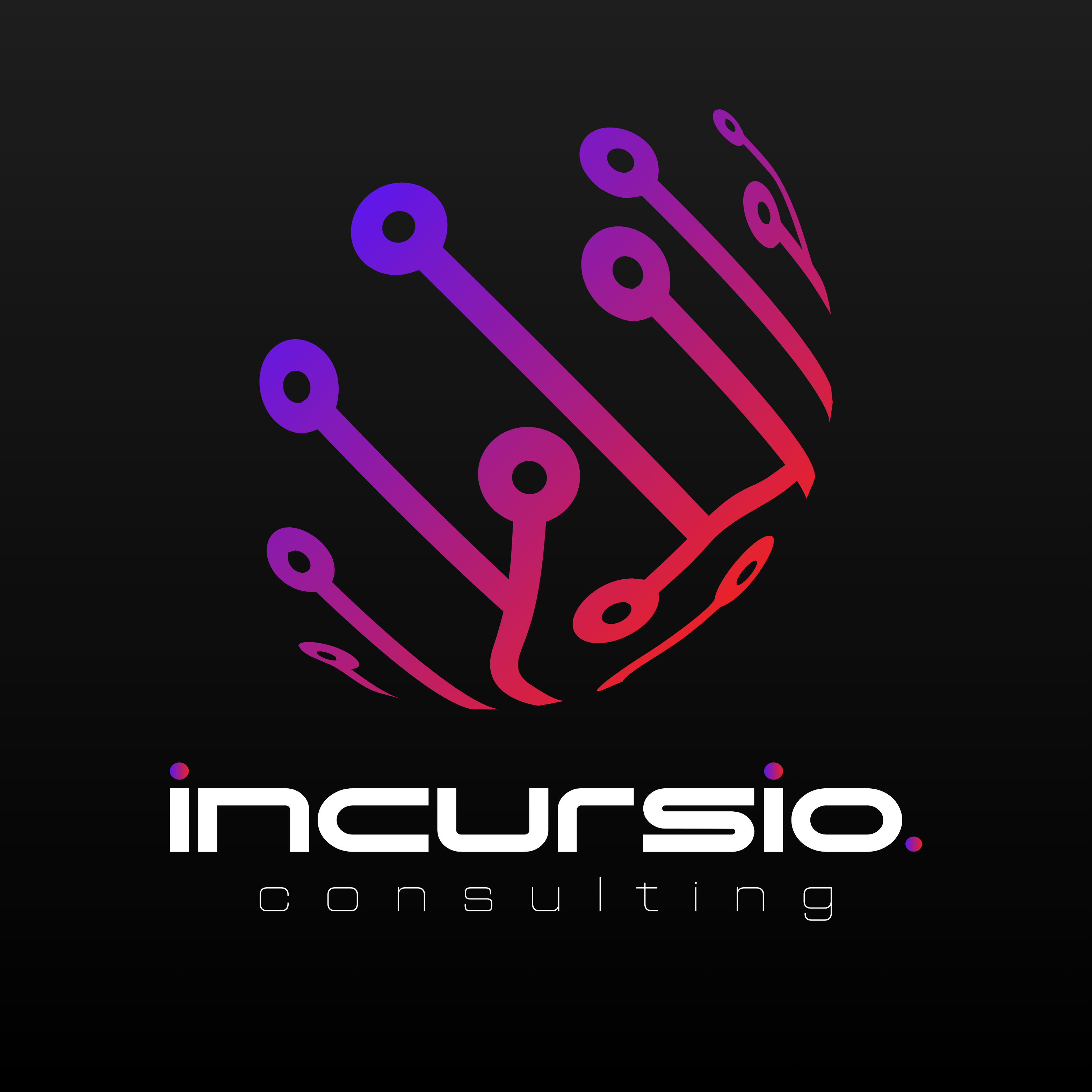 INCURSIO Consulting