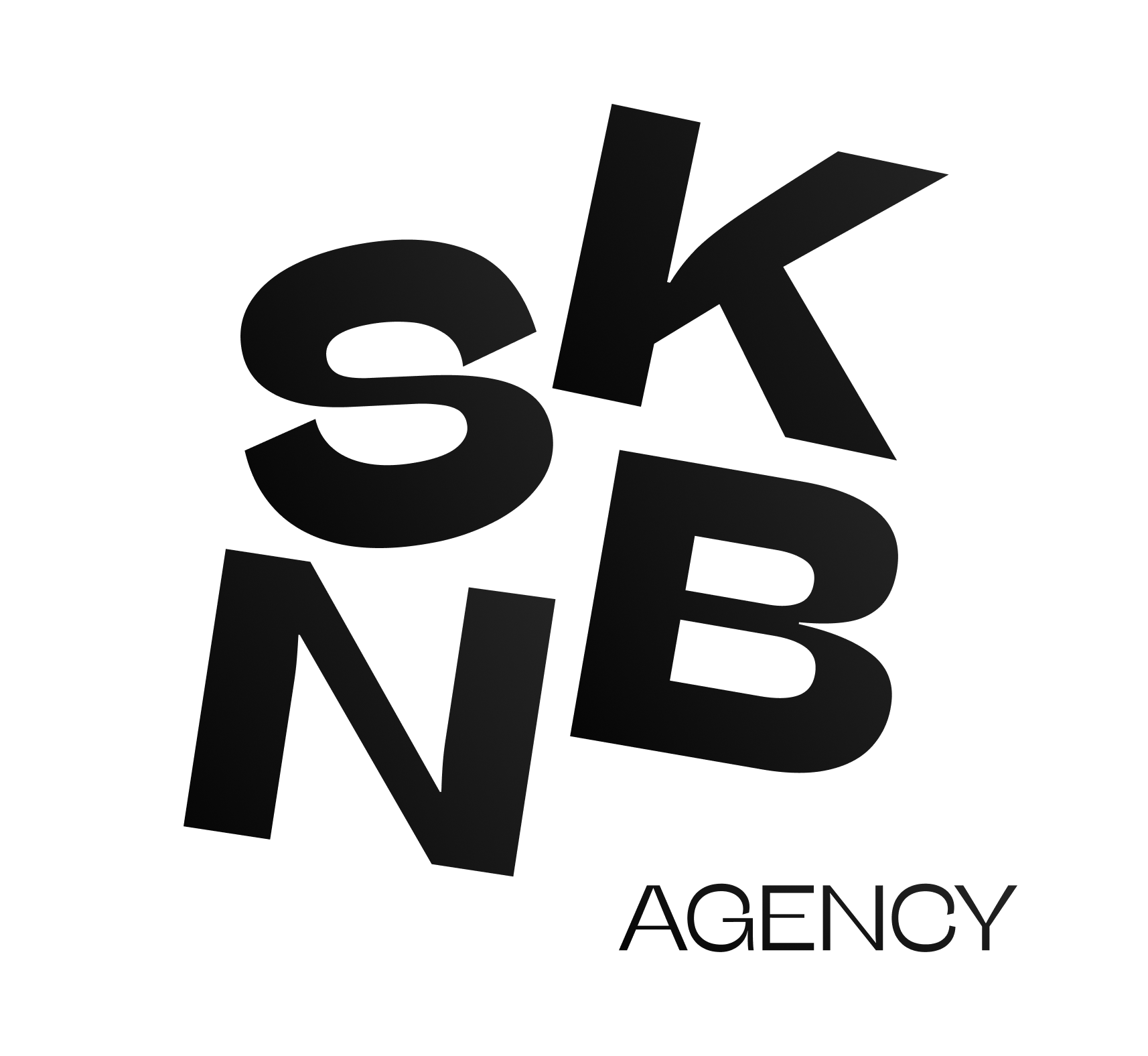 SKNB agency