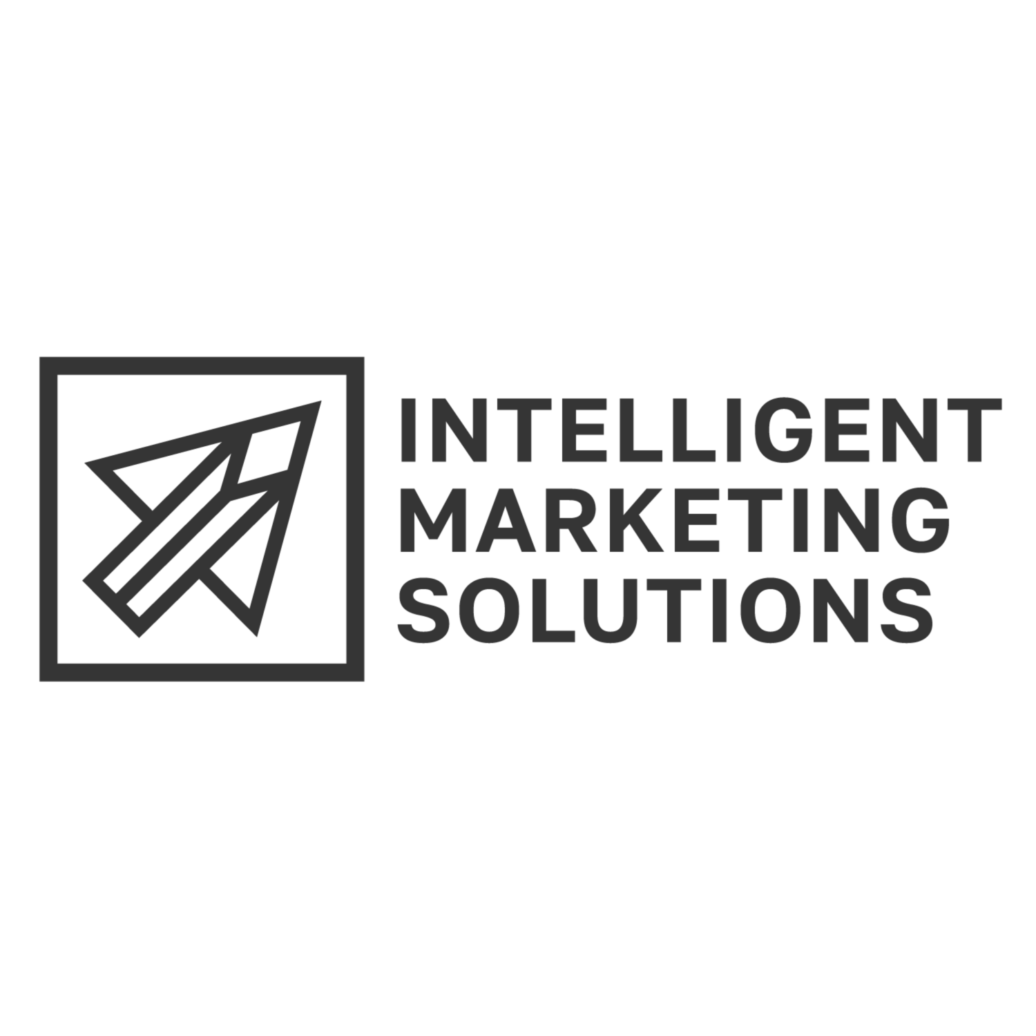 Intelligent Marketing Solutions