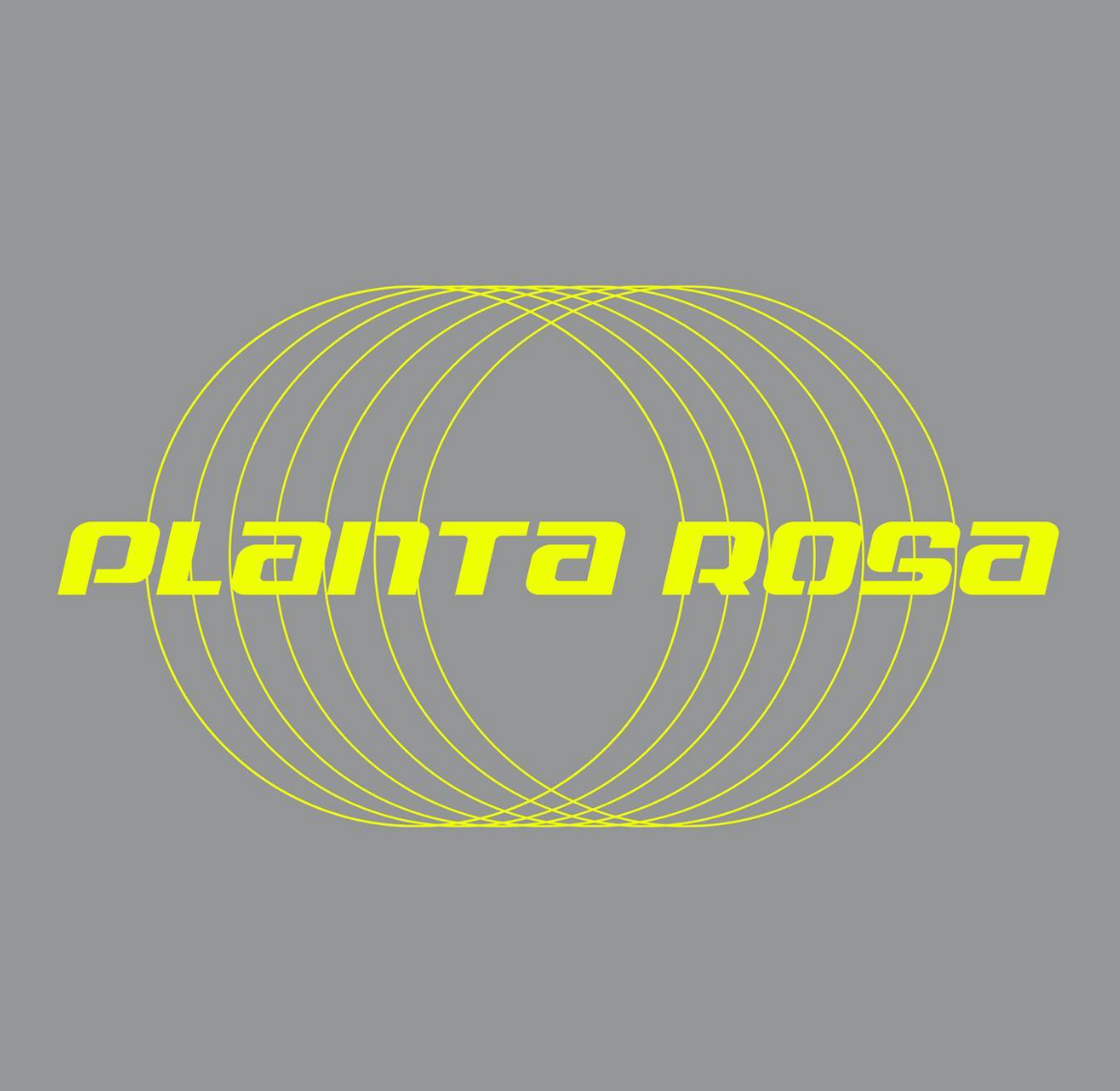 Planta Rosa