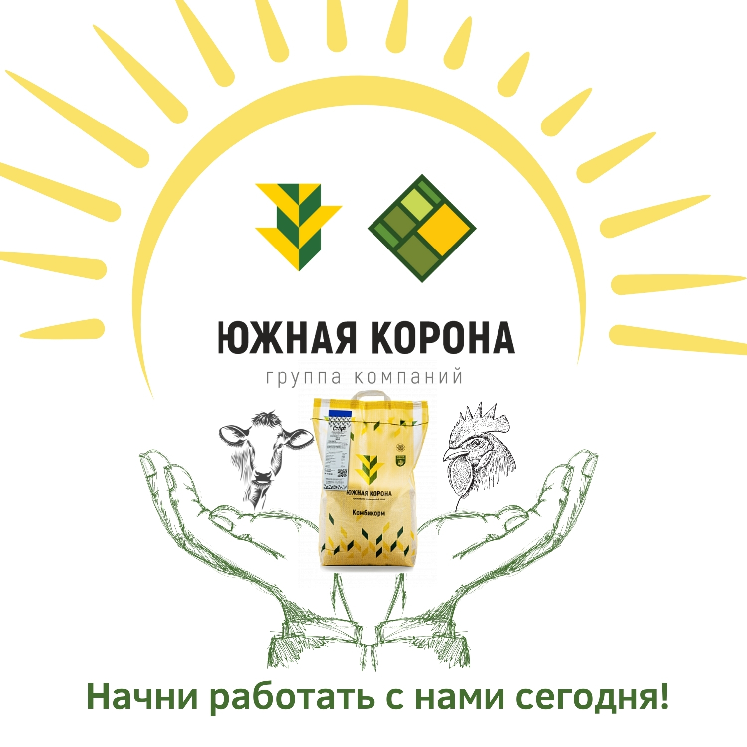 Группа Компаний Южная Корона