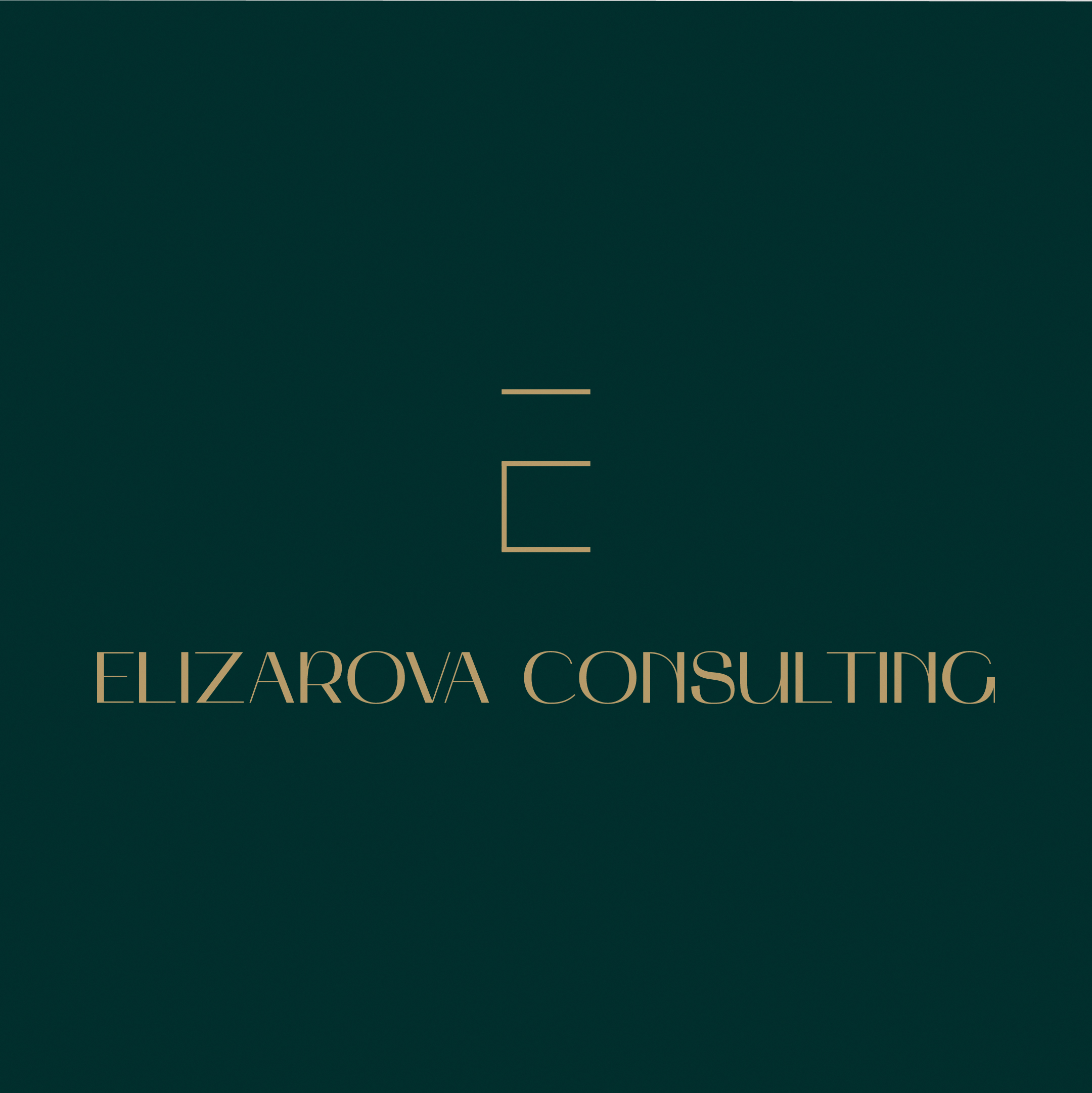 Elizarova Consulting