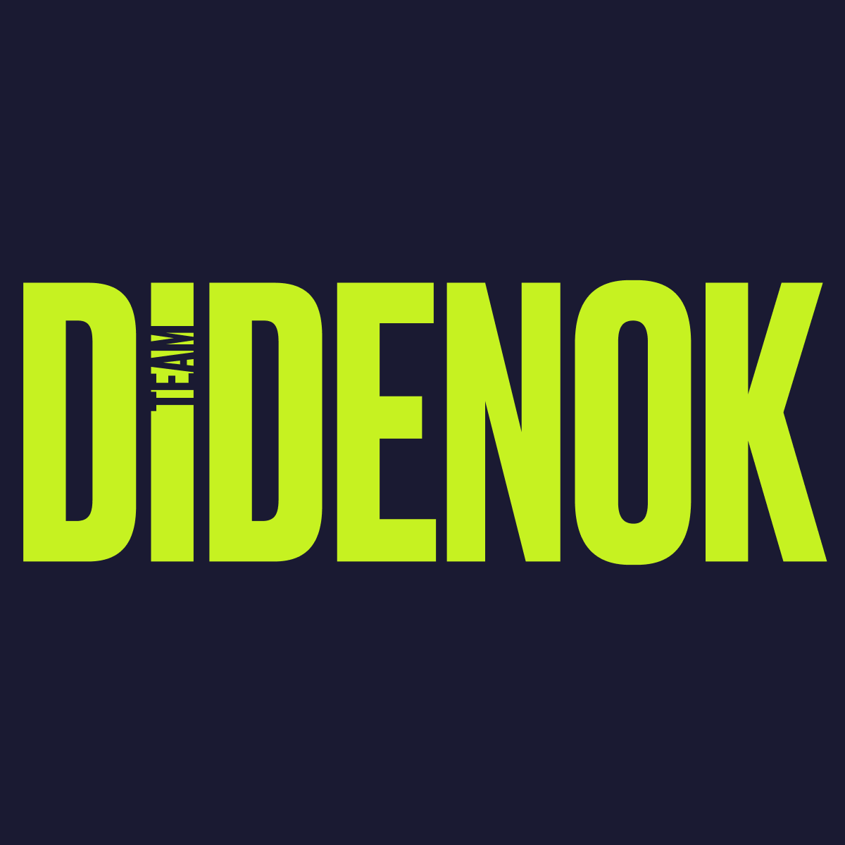 DIDENOK TEAM