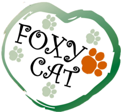 Foxy Cat